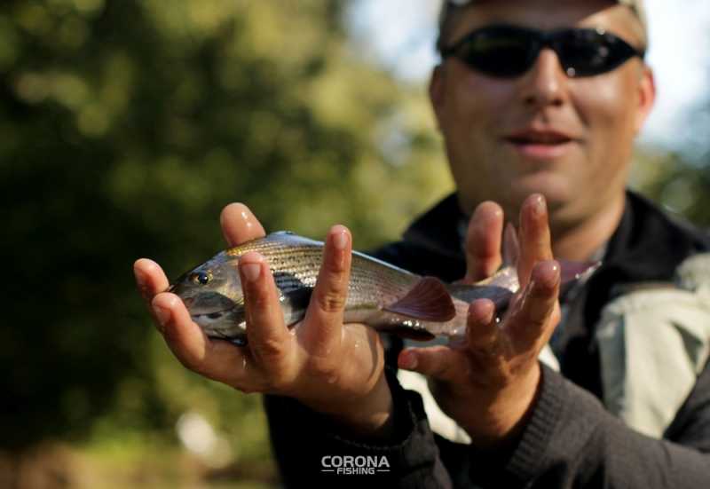 Wędki muchowe St. Croix